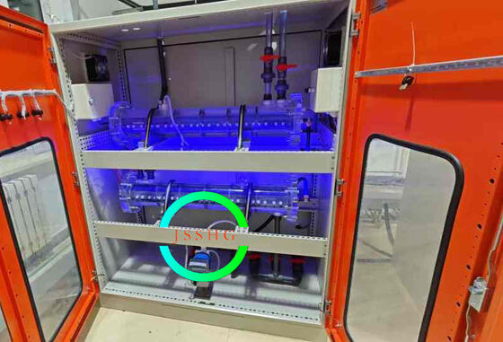Seawater Electro Chlorination / Hypochlorite Generation From Seawater Disinfection